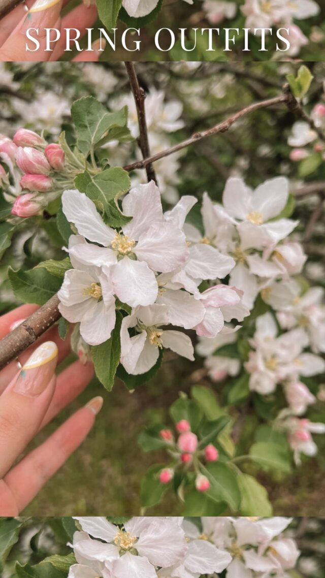 Looking for midsize spring & summer outfit ideas? You’re in the right place 🌸☀️🤍 Say “SHOP” to have outfit links sent to your DMs!

________

Midsize spring style, spring 2025 fashion trends, everyday outfits, comfy outfits 
.
.
.
#midsizefashion #midsizestyle #midsizeootd #fashionover30 #size12 #size14 #dopaminedressing #comfyoutfits #springoutfits #springoutfitideas